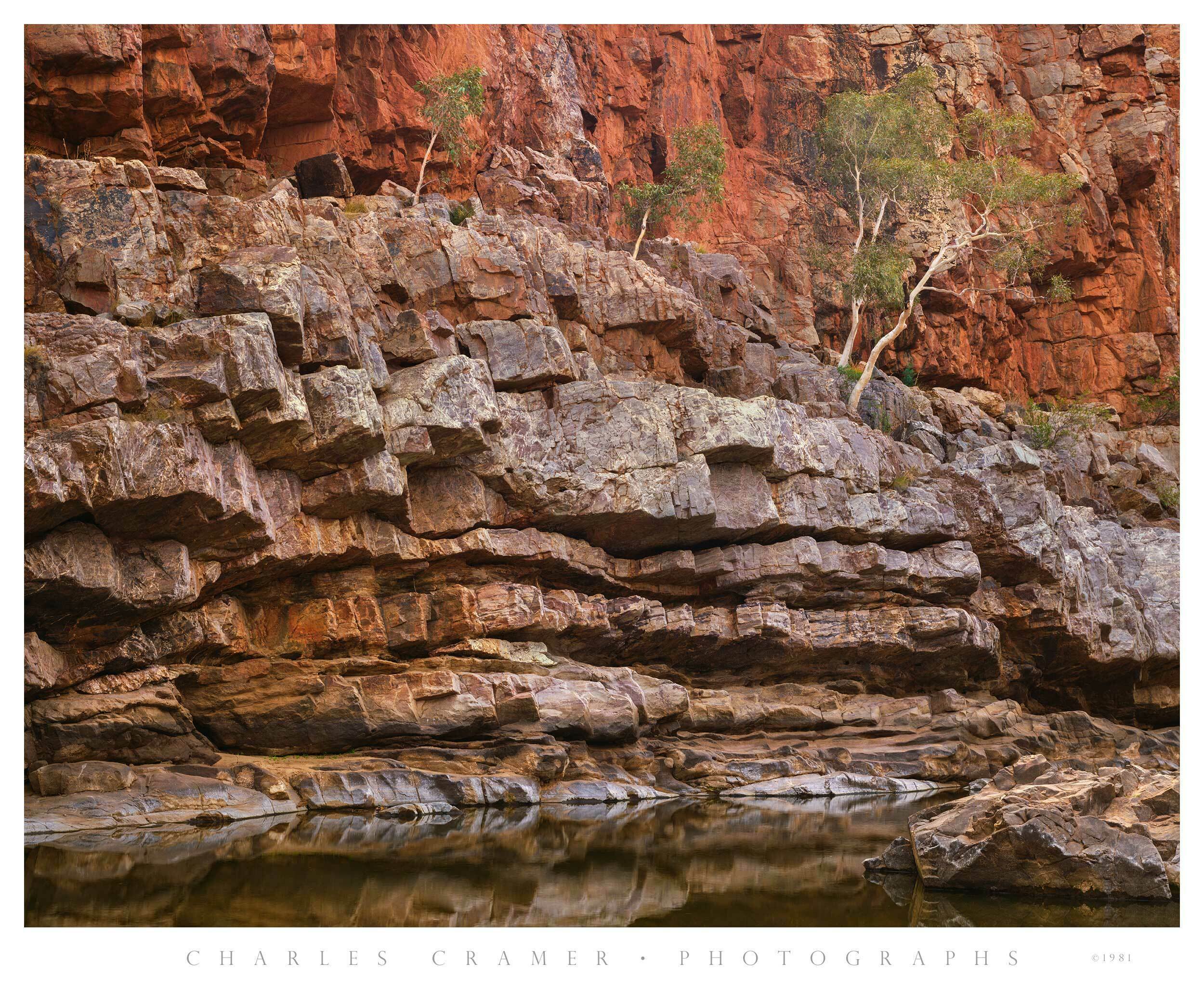 Ghost Gum Trees, Ormiston Gorge, Northern Territories, Australia