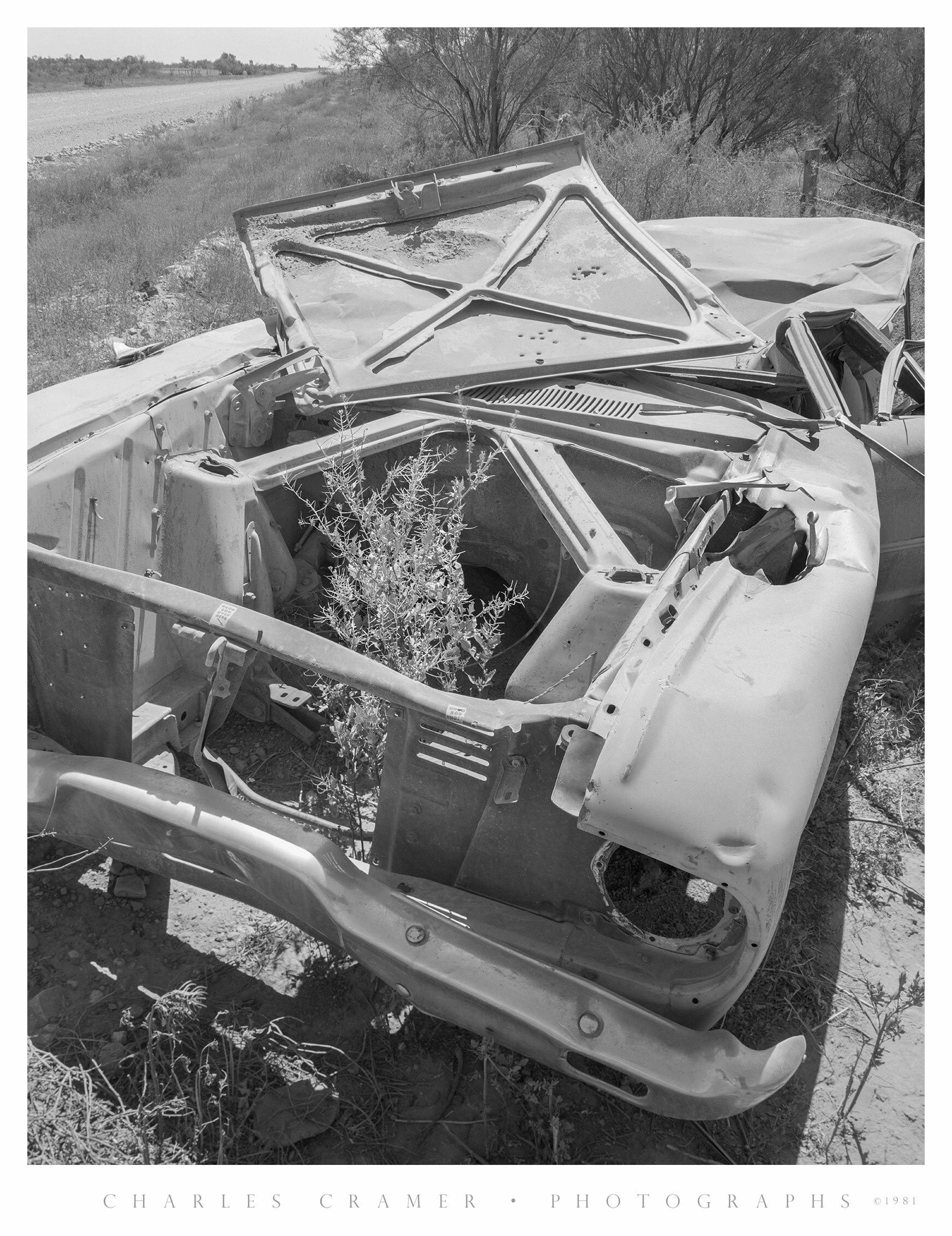 Old wreck with Vegetation, Outback, Australia