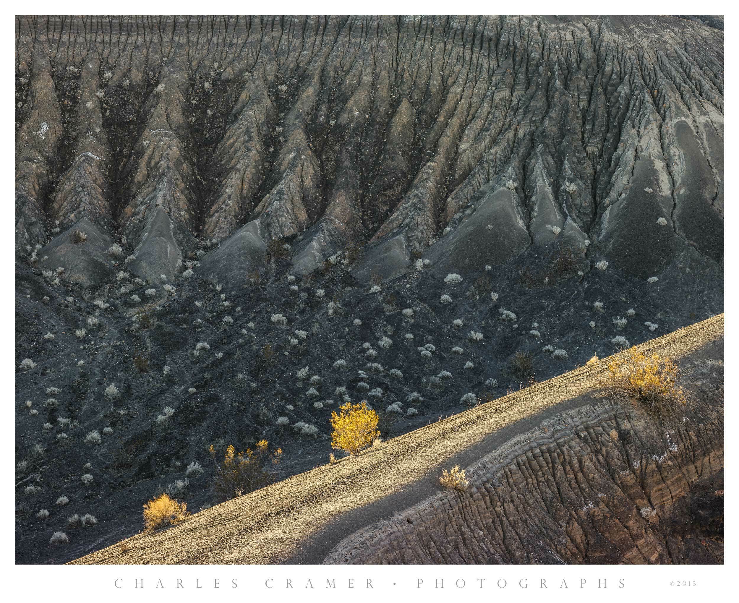 Sidelit Ridge and Erosion Patterns, near Ubehebe Crater, Death Valley