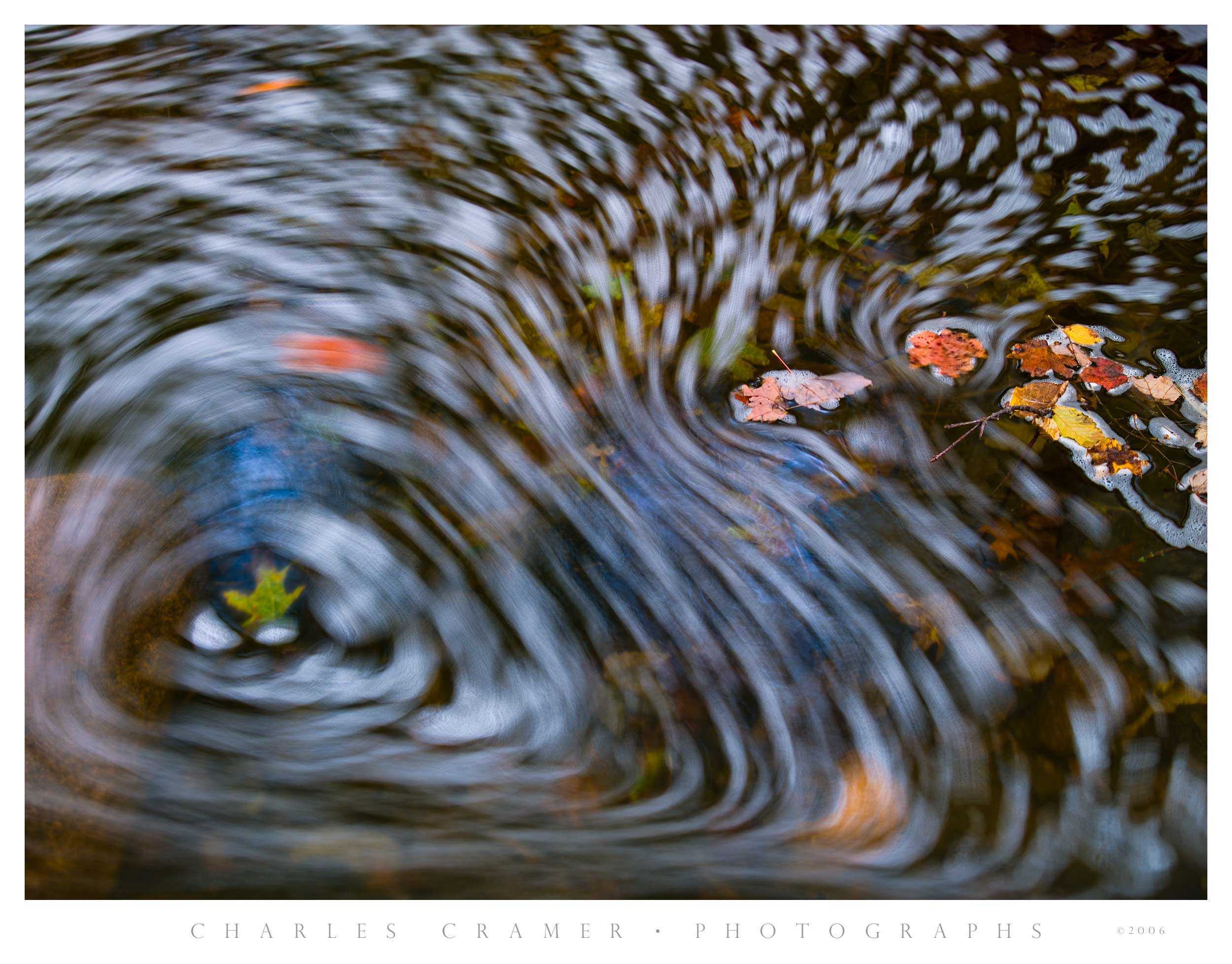 Swirling Leaves and Pollen Foam, Acadia, Maine