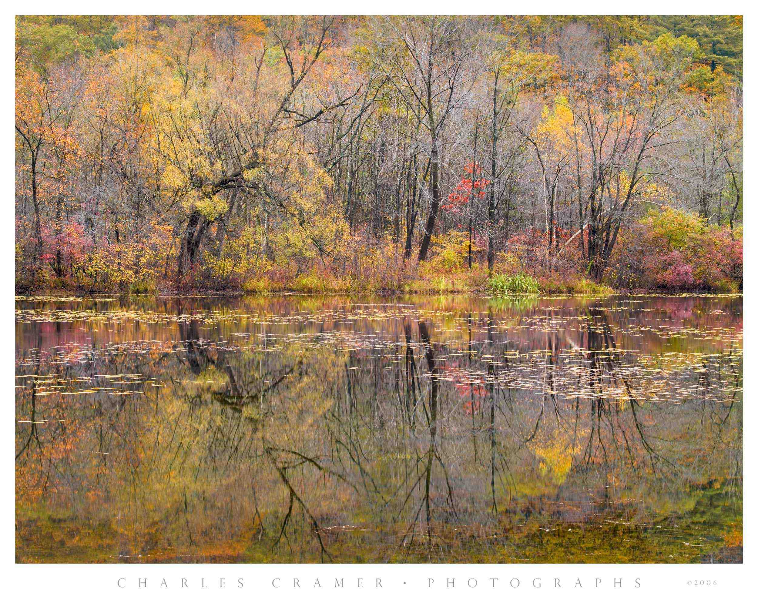 Along the Contoocook River, Autumn, NH