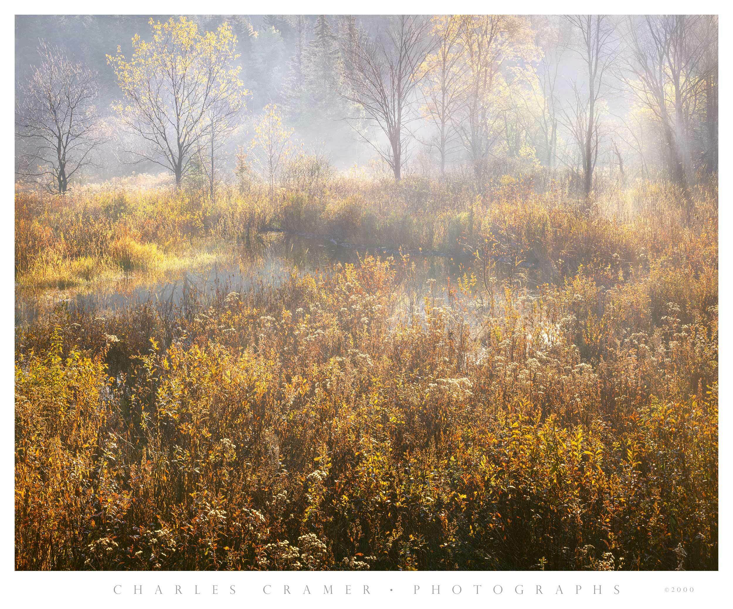 First Light, Foggy Pond, Acadia, Maine