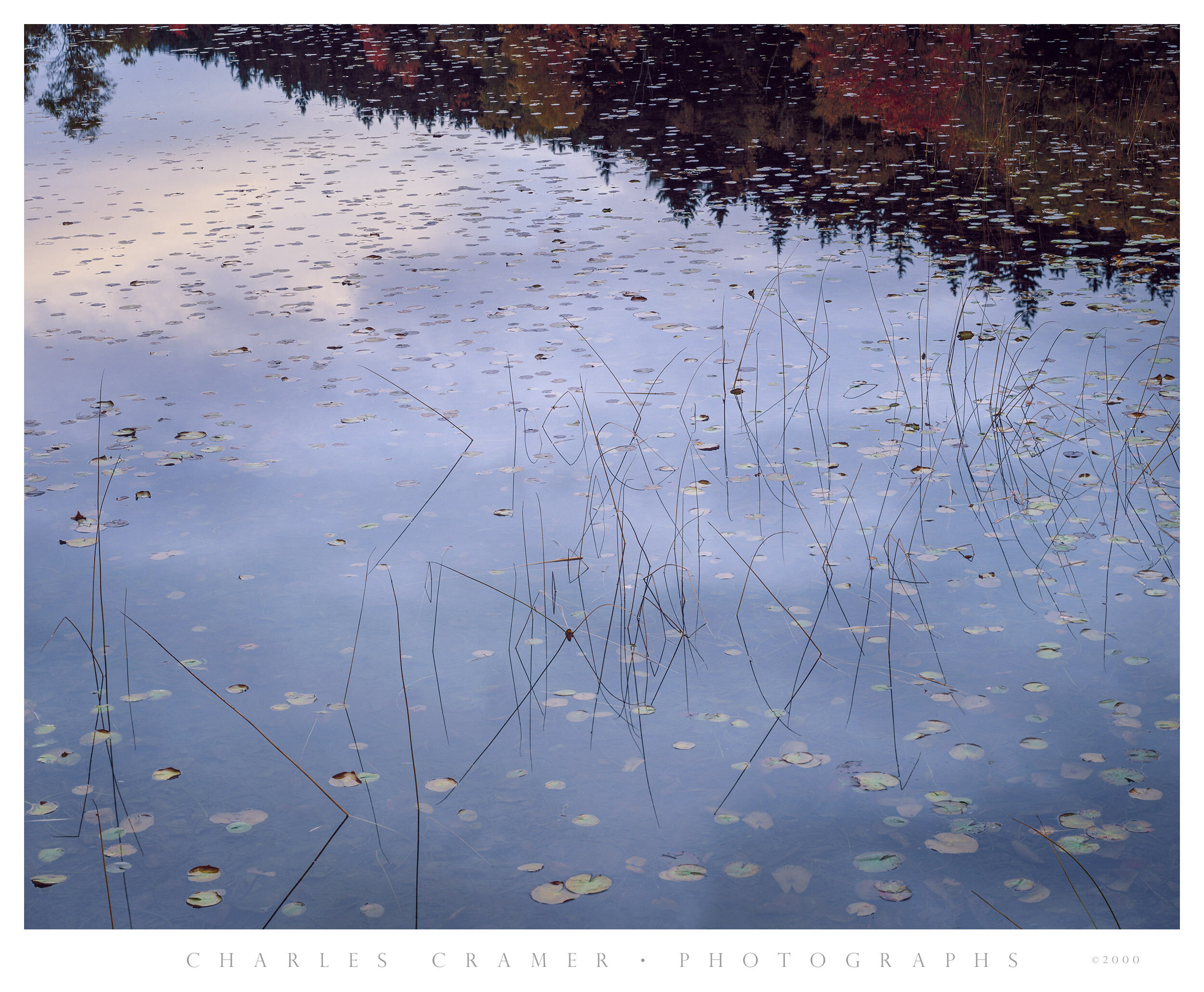 Long Pond at Dawn, Acadia, Maine