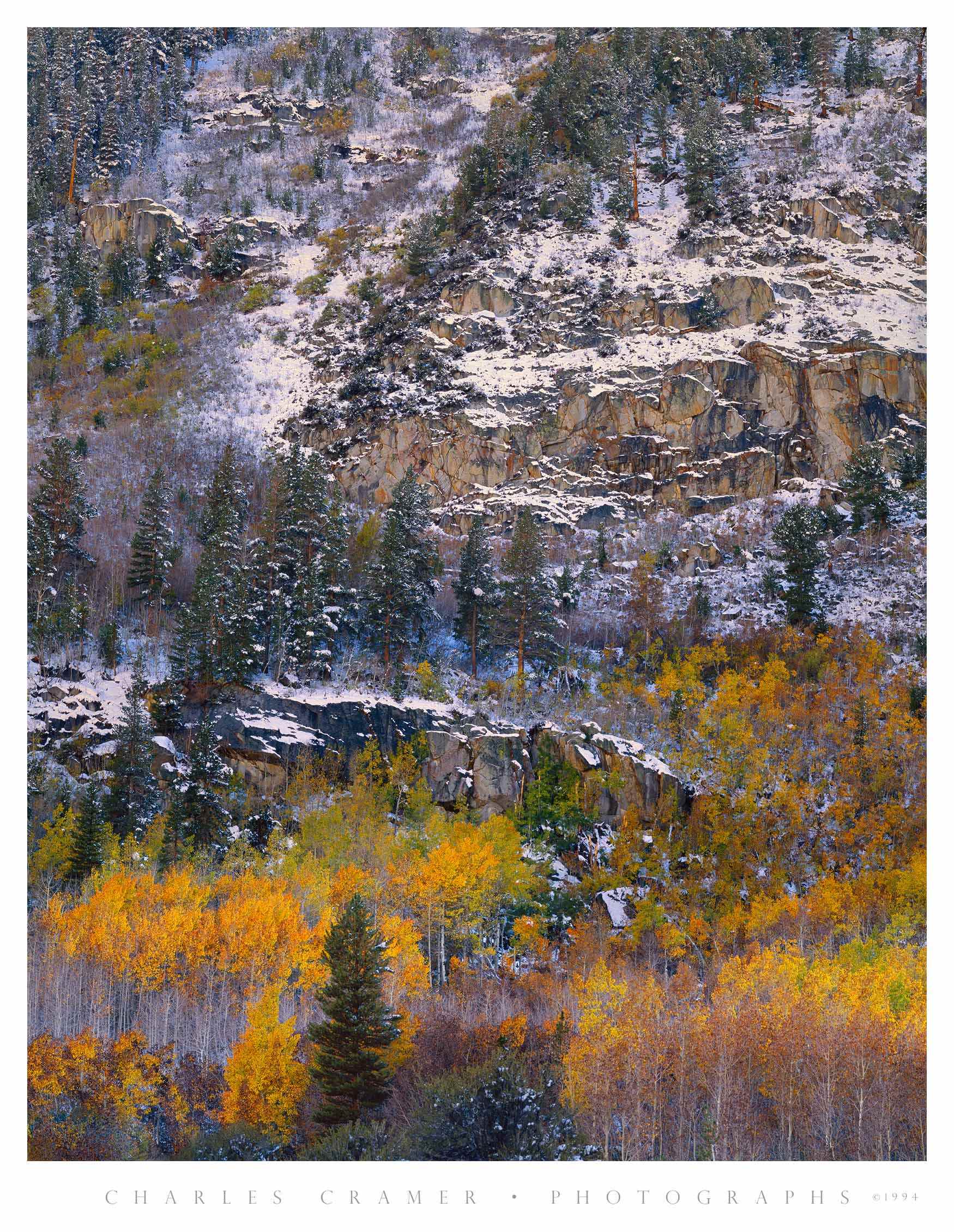 Autumn Snow, near South Lake, Eastern Sierra