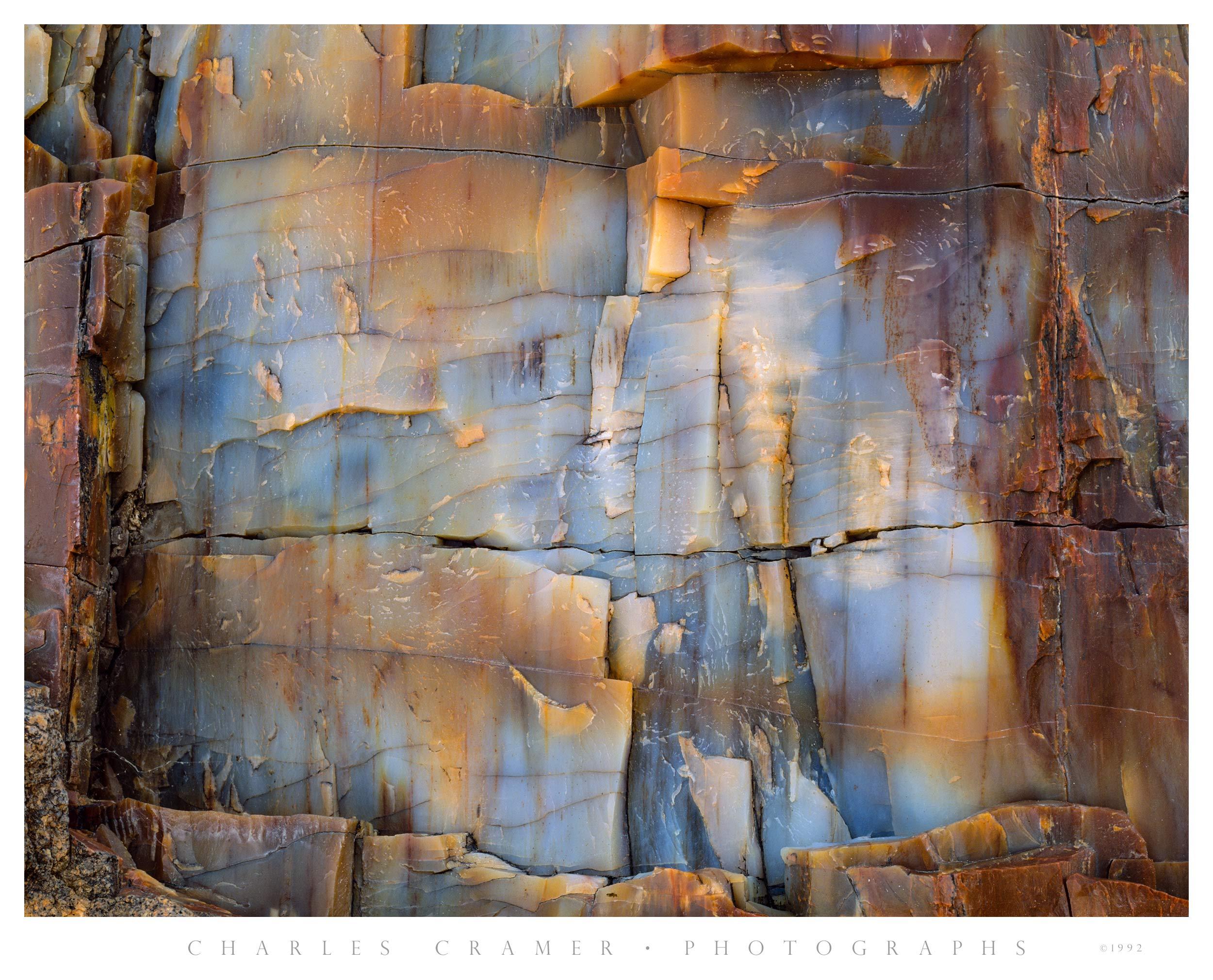 Petrified Wood Detail, Petrified Forest National Park