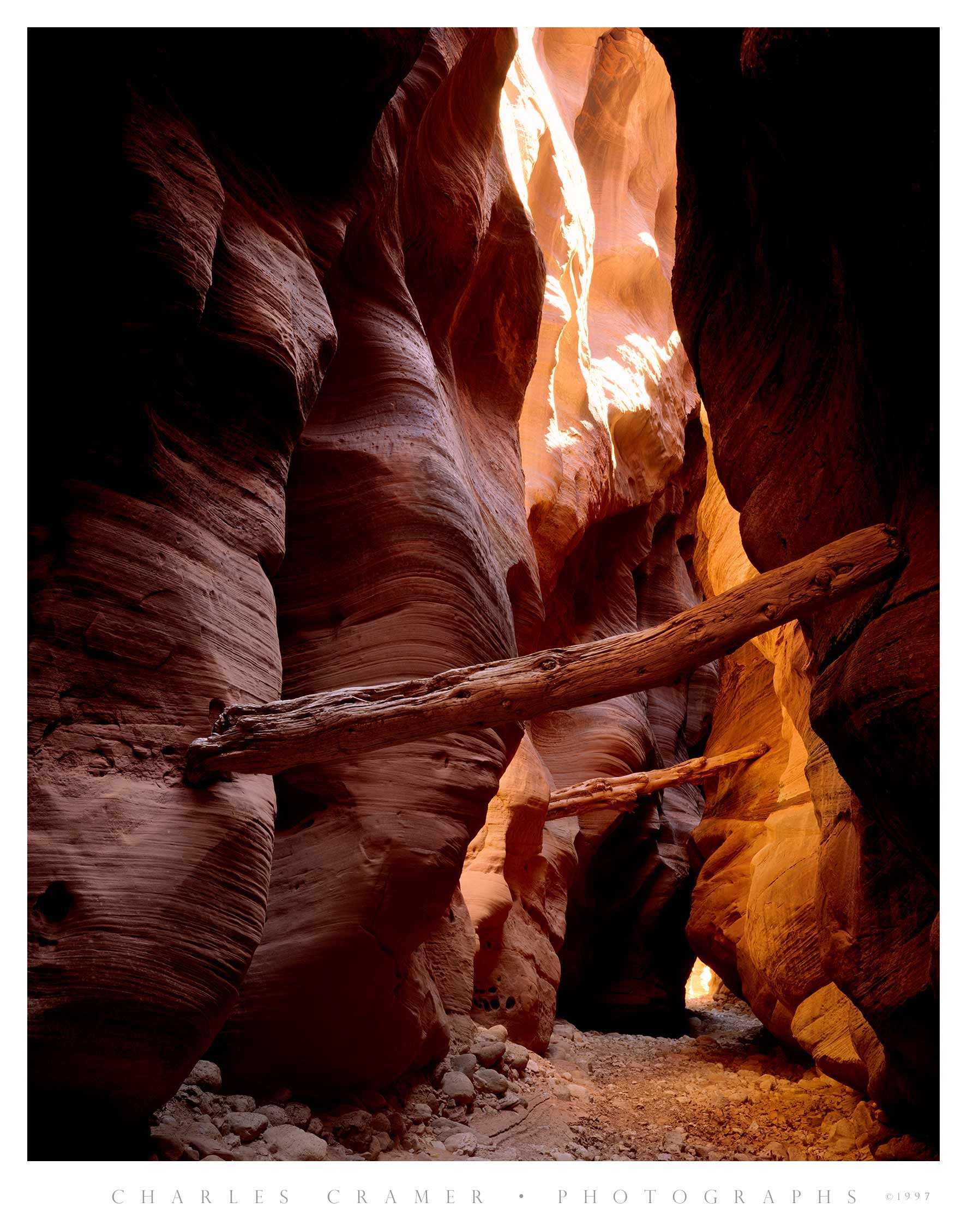 Logs Left after Flood,  Buckskin Gulch, Utah