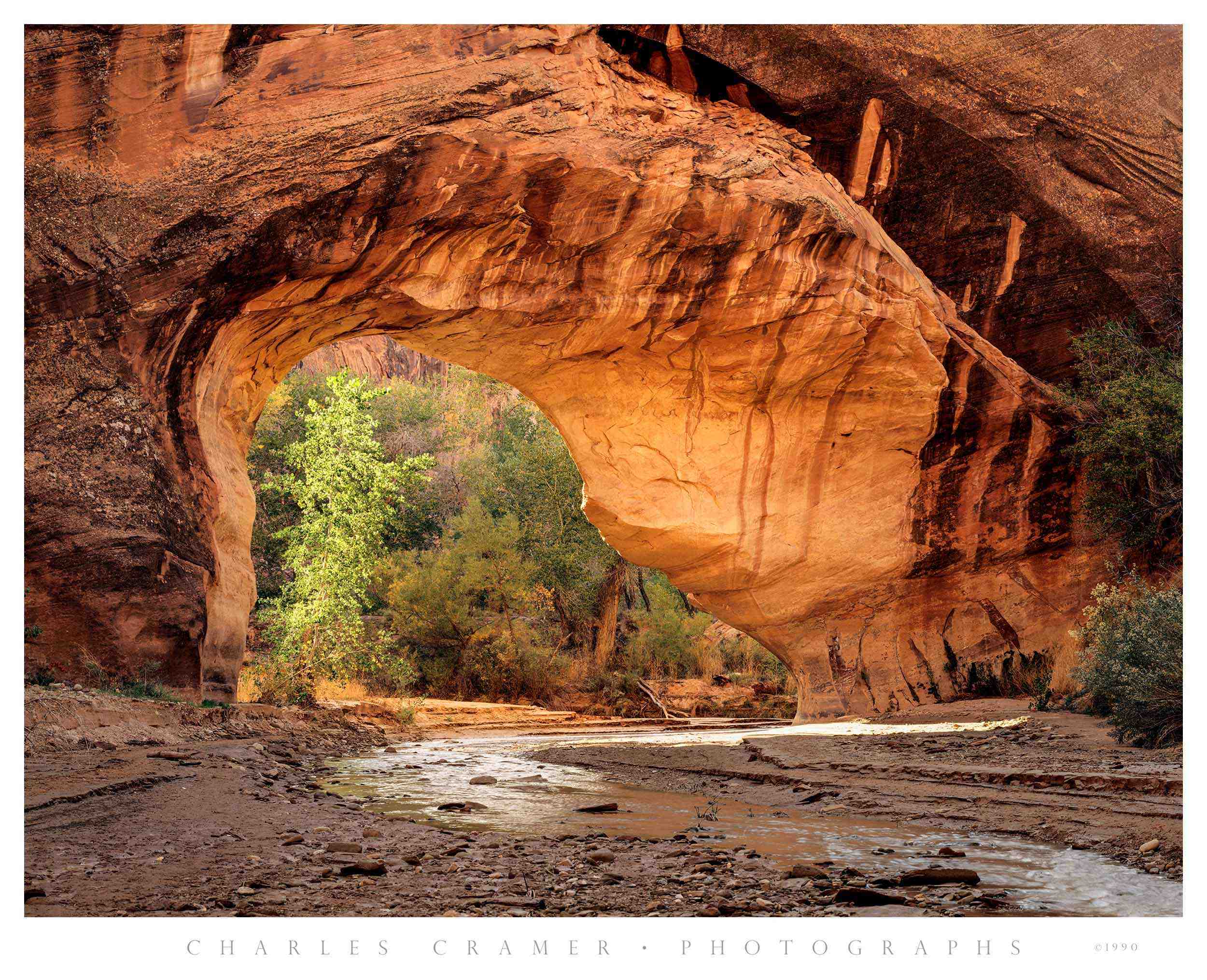 Coyote Natural Bridge, Utah