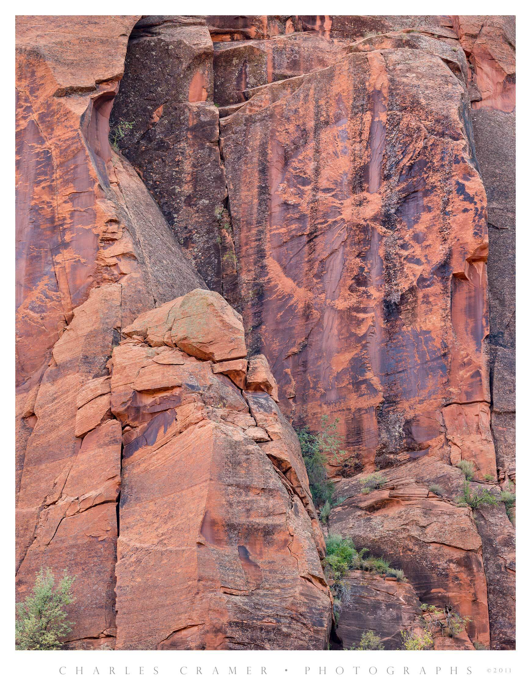 Canyon Wall with Vegetation, Moody Canyon, Utah