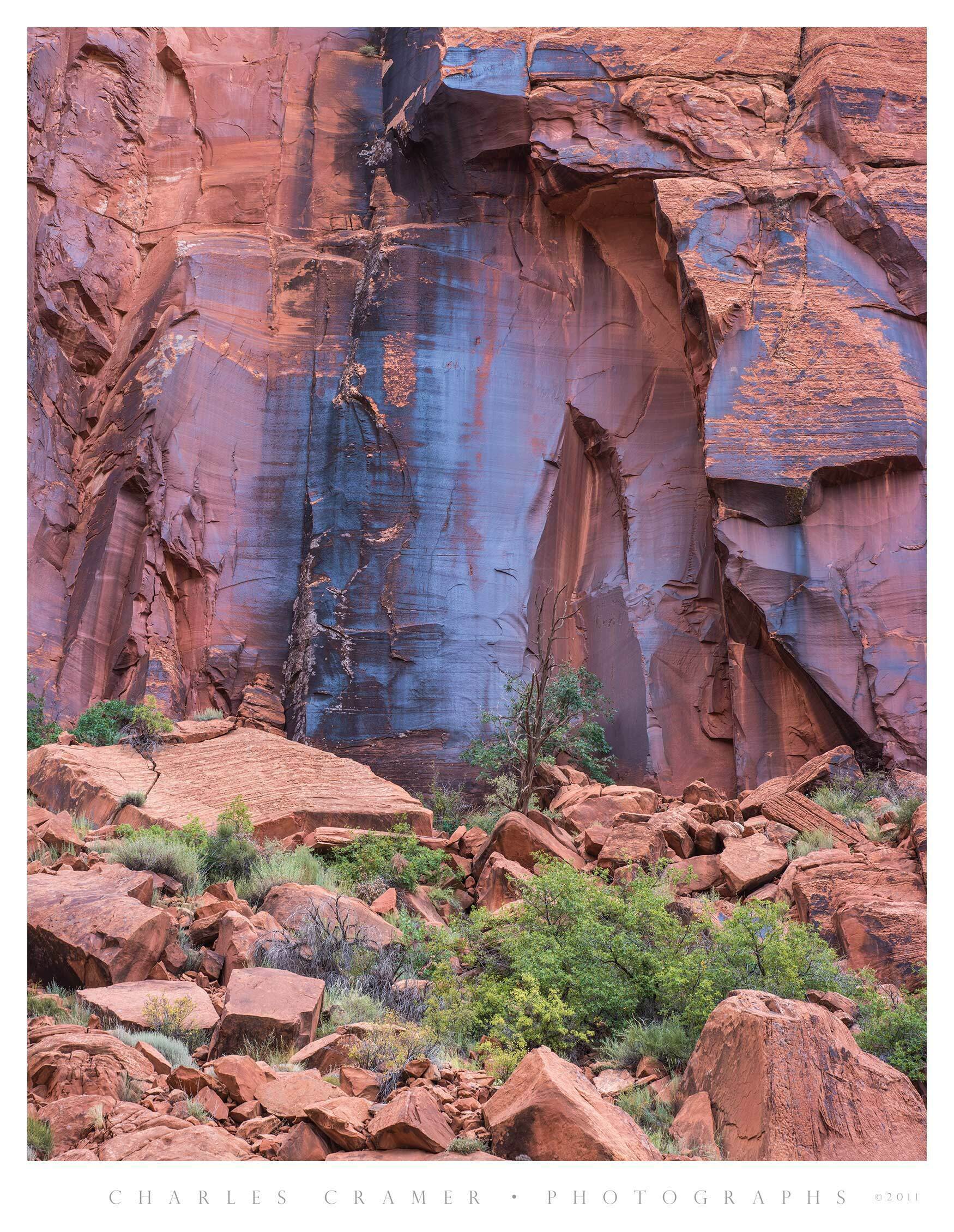 Blue Desert Varnish, Escalante Canyon, Utah