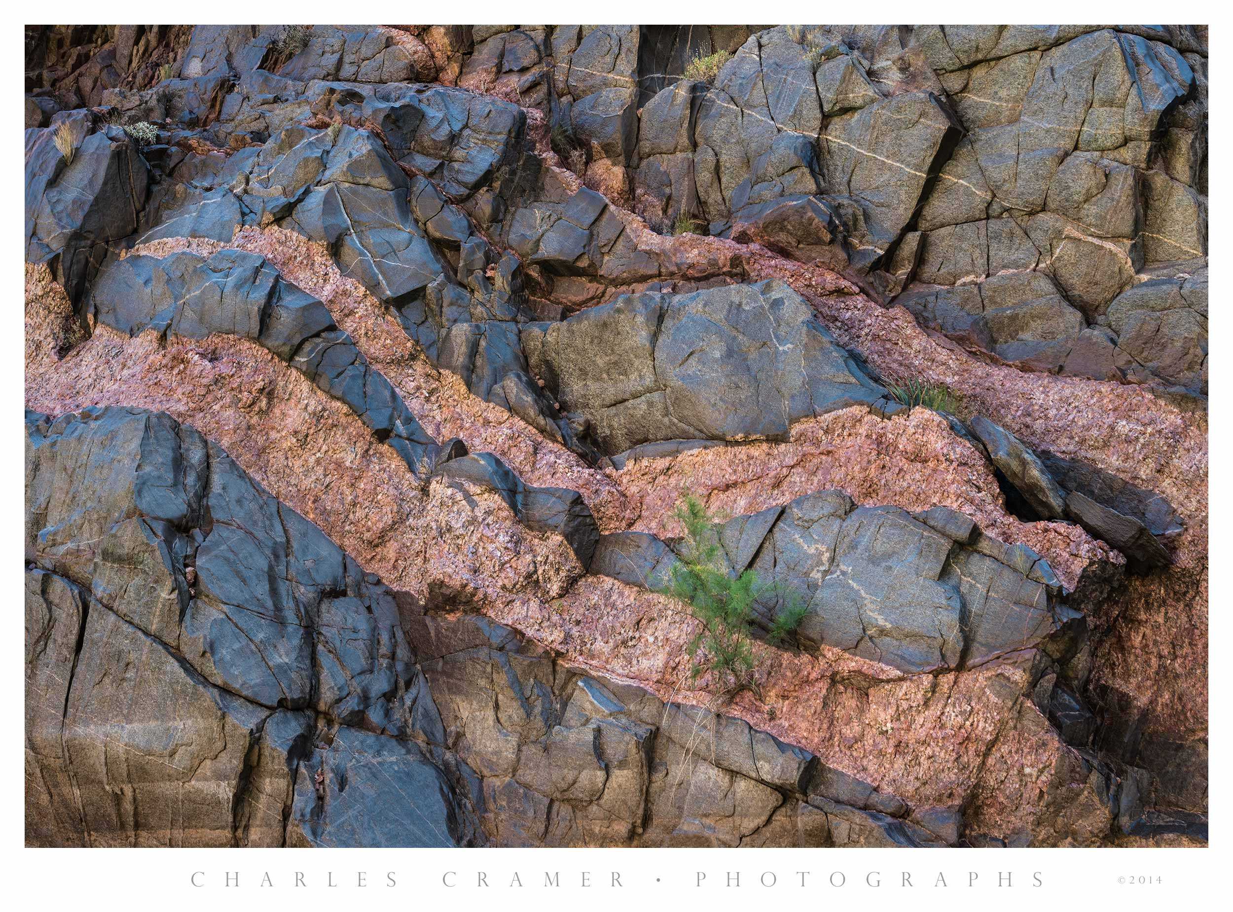 Canyon Wall with Dikes and Tamarisk