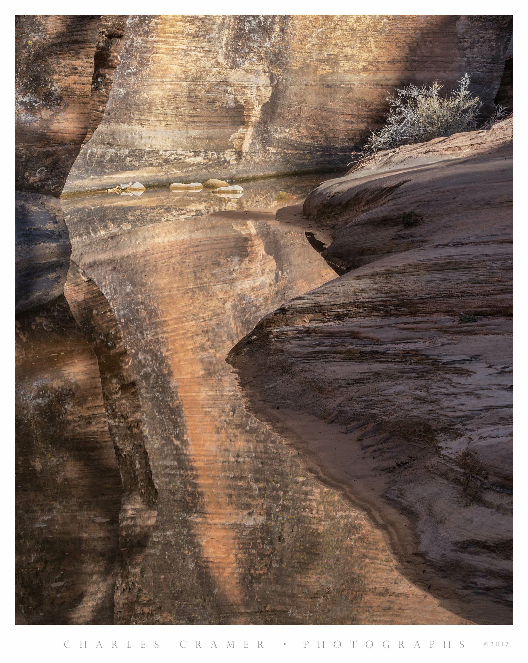 Side Canyon Entrance, Clear Creek, Zion