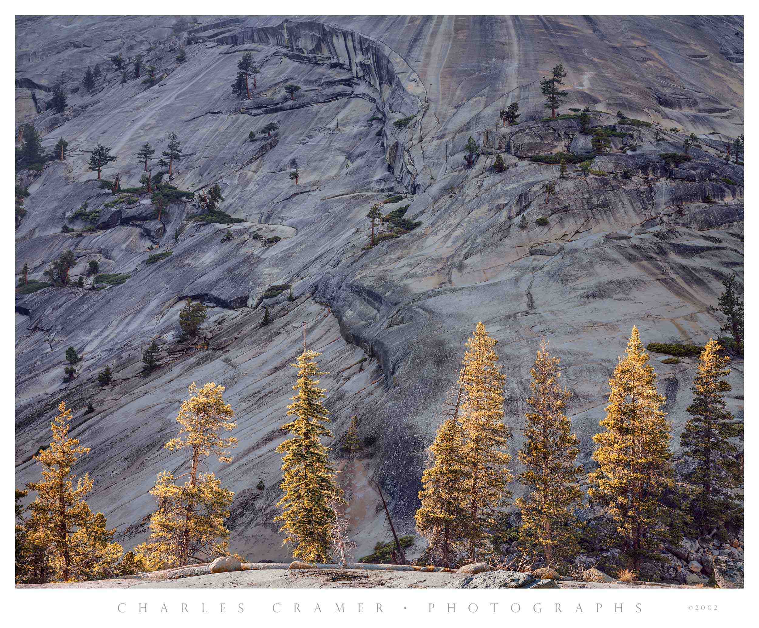 Pines and Granite, Merced River Canyon, Yosemite