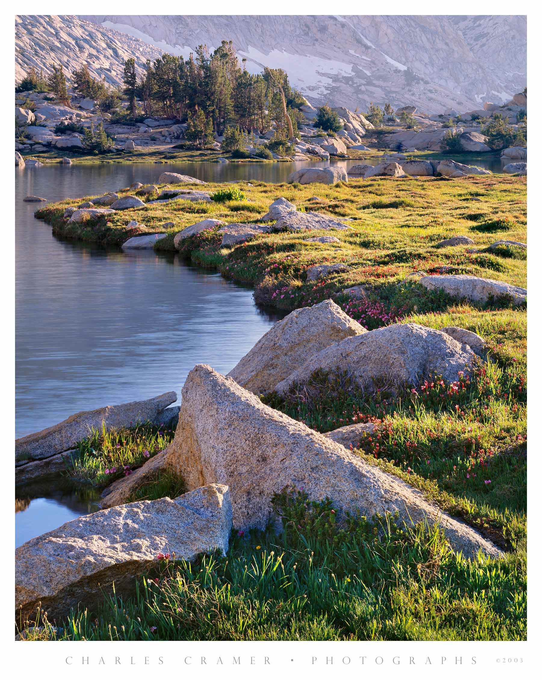 Rocks and Wildflowers, Upper Young Lake, Yosemite