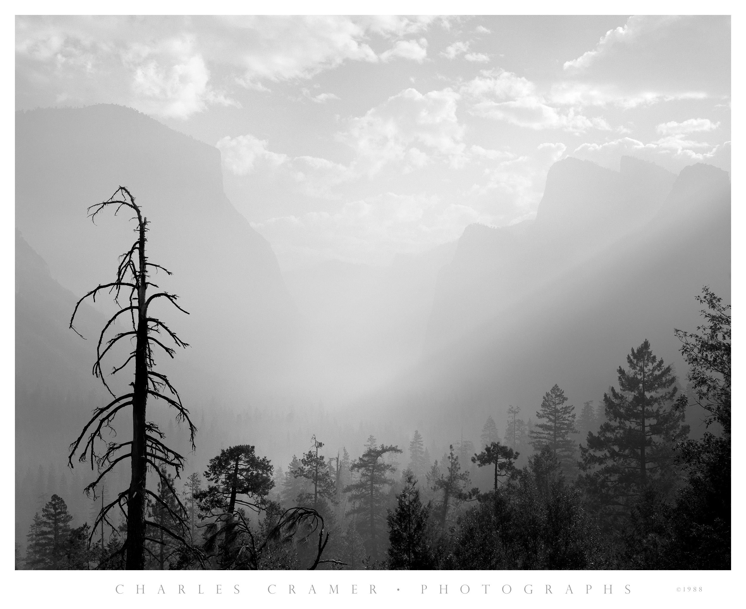 Morning Mist, Valley View, Yosemite