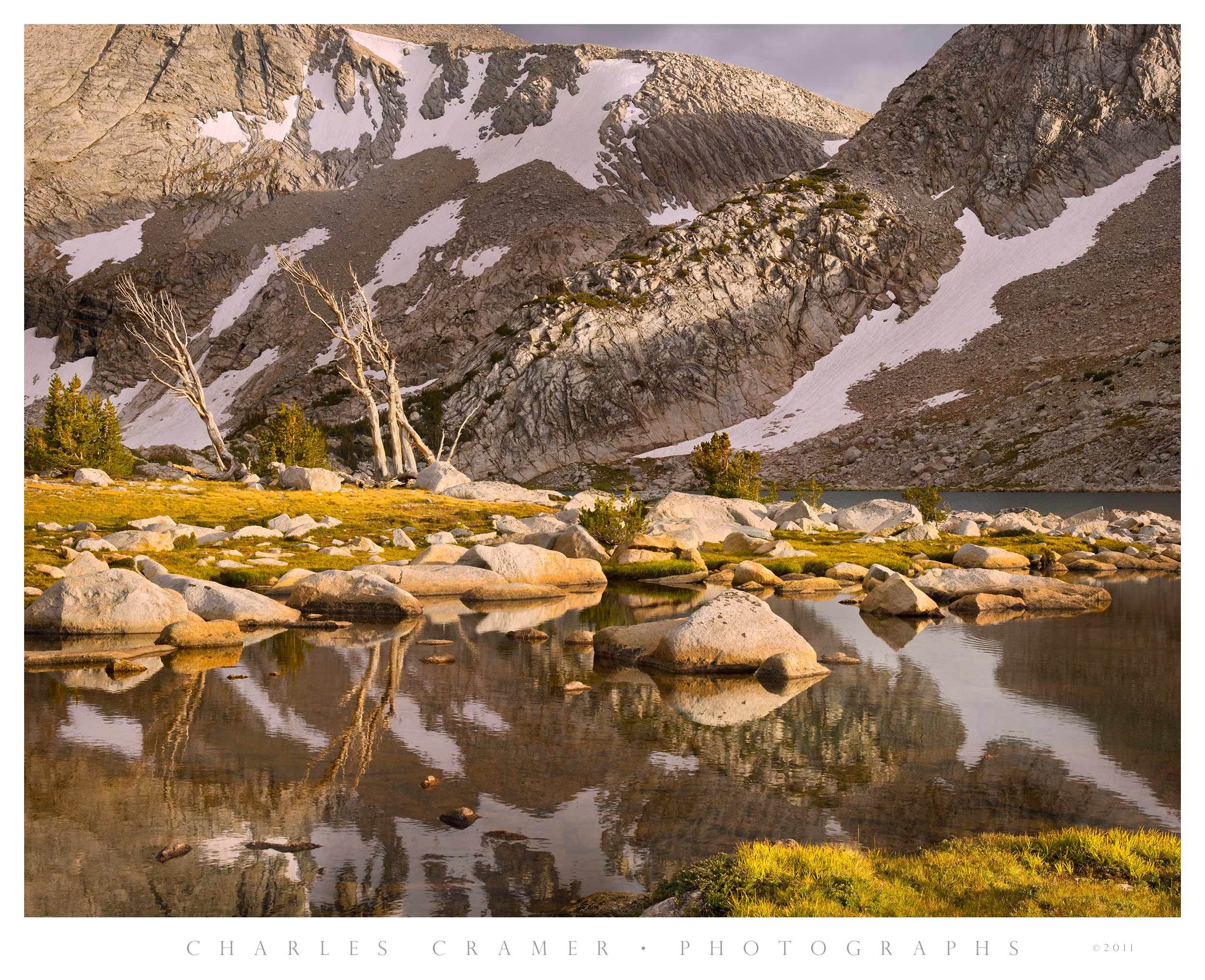 Snags and Shoreline, Upper McCabe Lakes, Yosemite