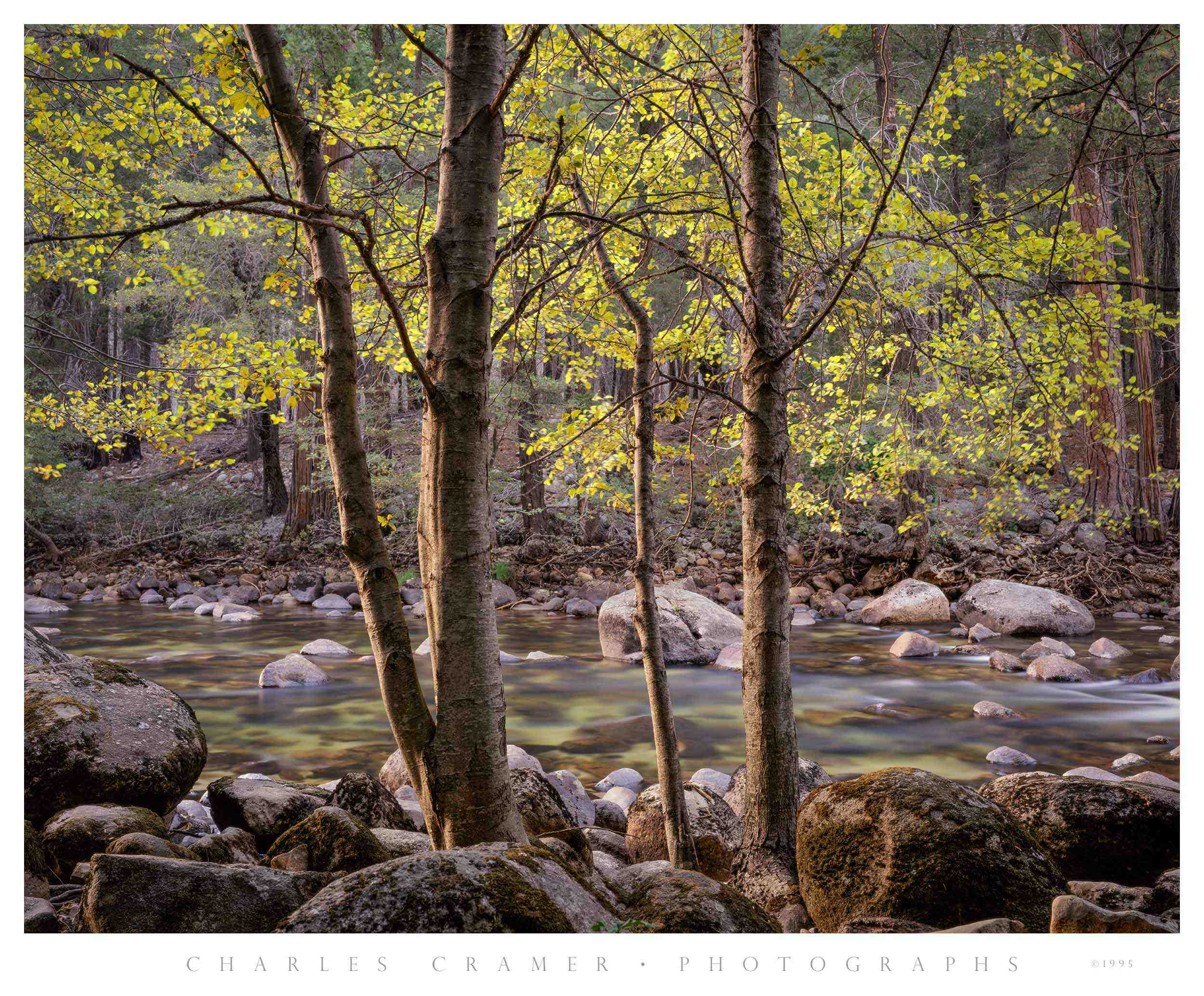 Trees and Rocks, Merced River, Yosemite