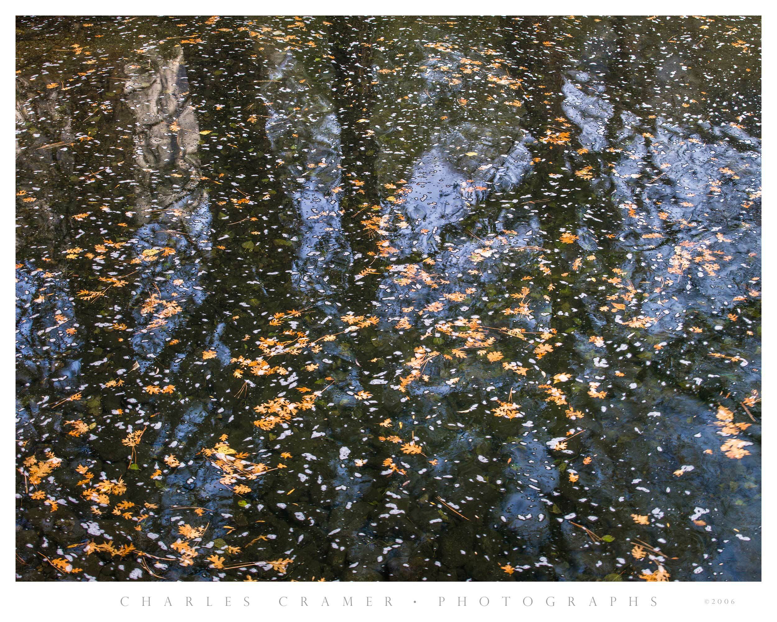 Fallen Leaves, Autumn, Merced River, Yosemite