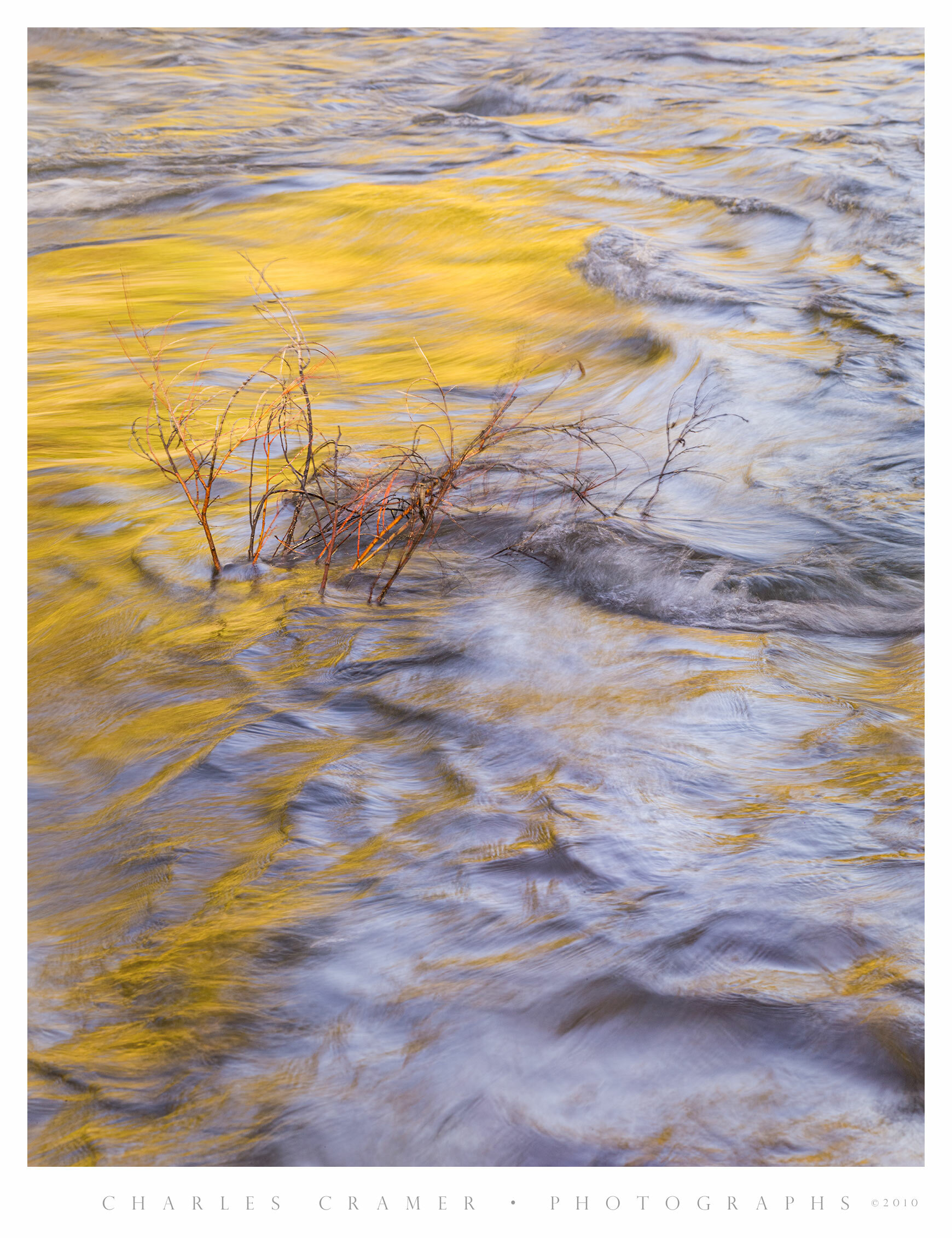 Willows Being Thrashed in Merced River, Yosemite