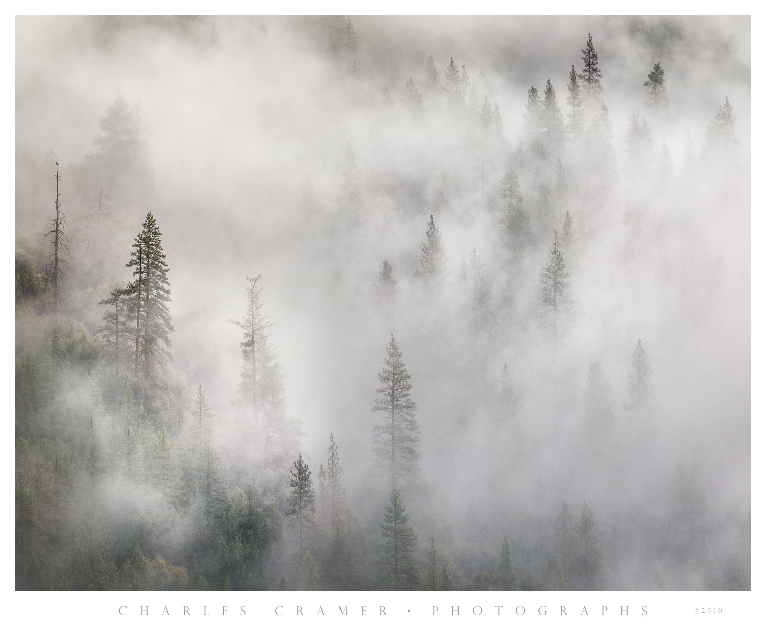 Afternoon Fog, Tunnel View, Yosemite