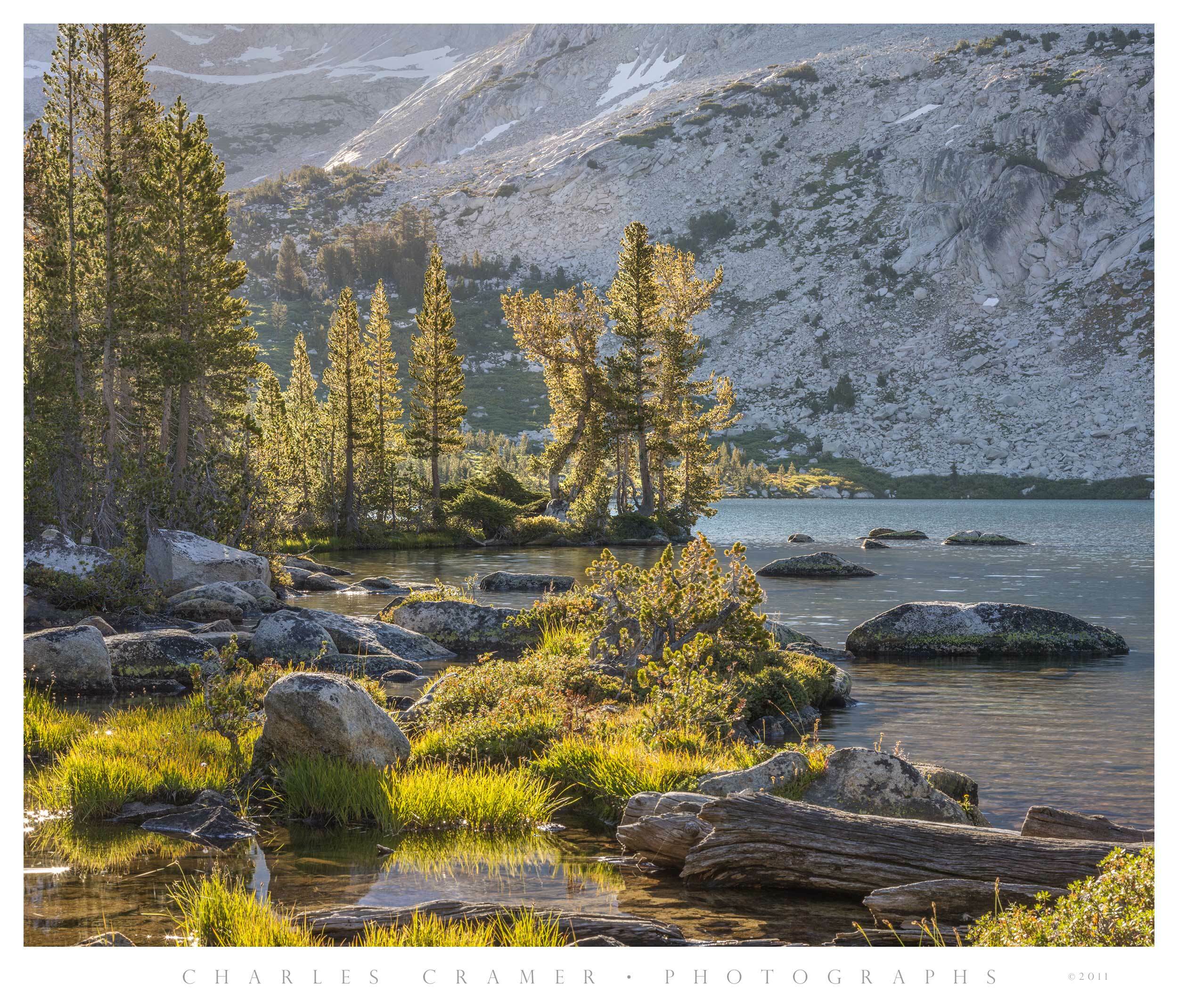 Last Light, Backlit Trees, Alpine Lake, Yosemite