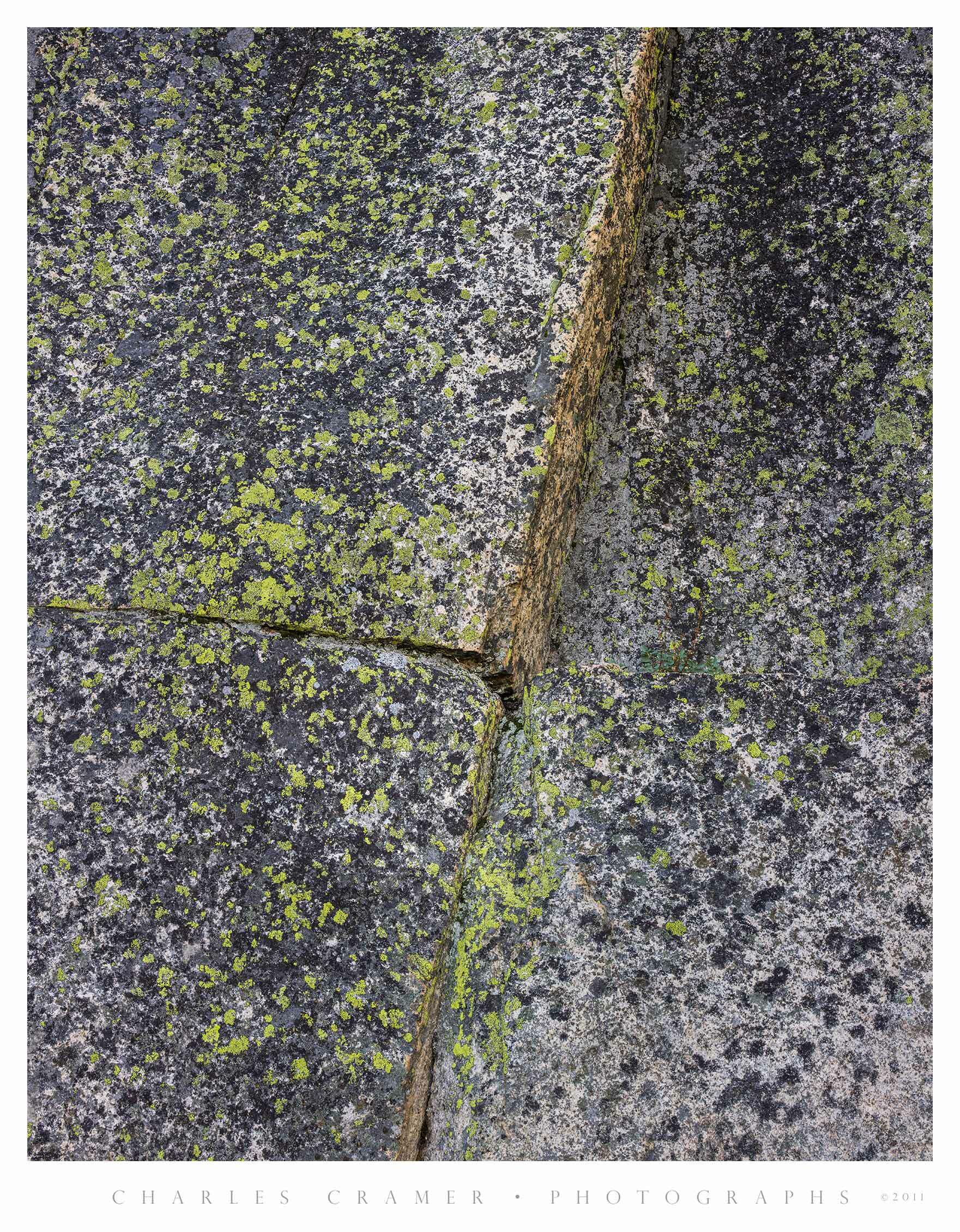 Lichen on Granite, near Glen Aulin, Yosemite