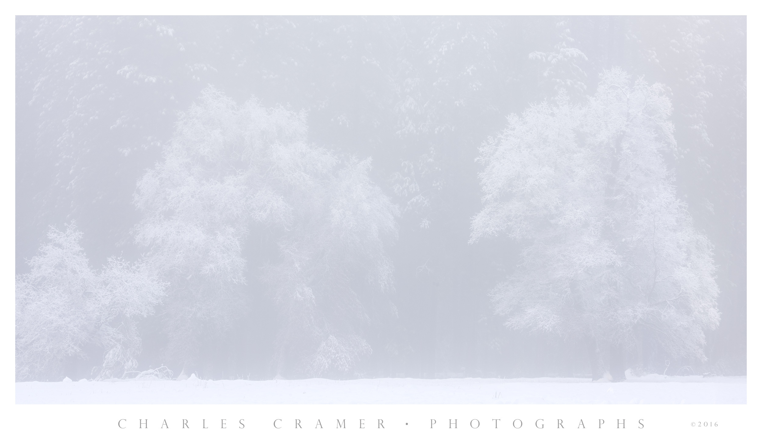 Snow and Fog, Cook's Meadow, Yosemite